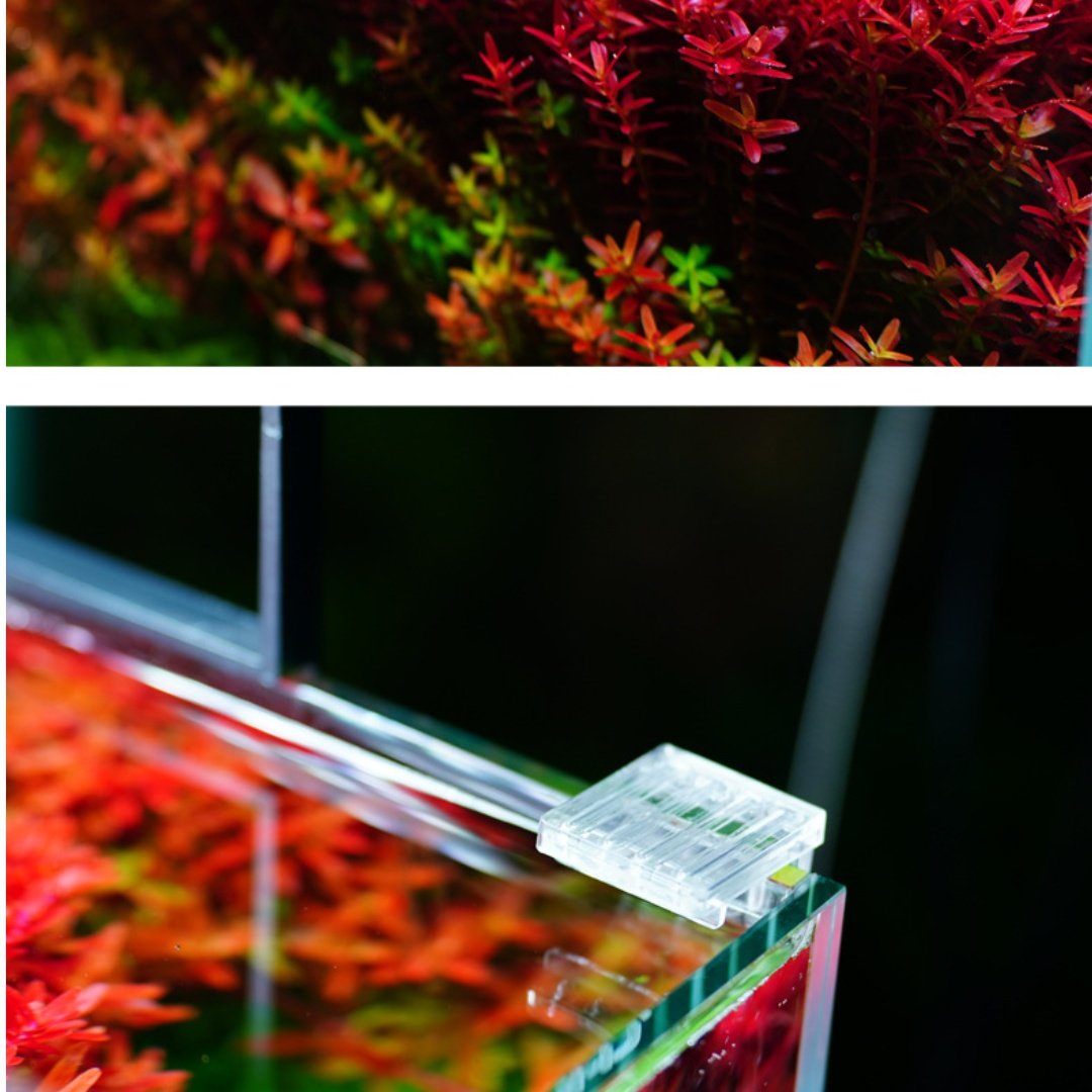 Wholesale aquarium accessories Sea Tank Titration systems Aquarium titration pump Dosing Pump containers and supports