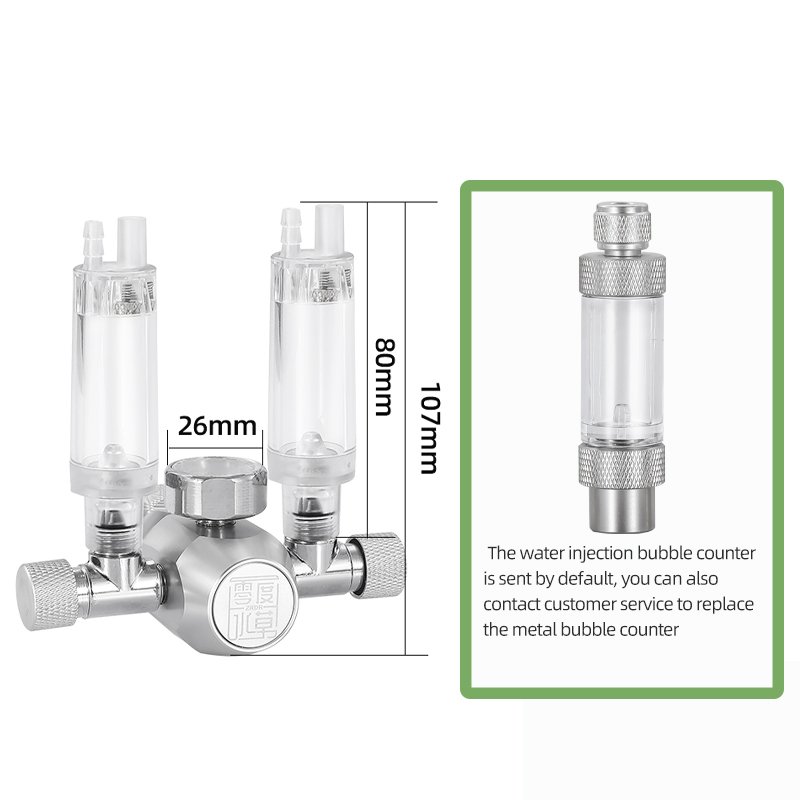 WYIN R105 Double table co2 cylinder regulator stainless steel air co2 gas pressure regulator with Solenoid Valve