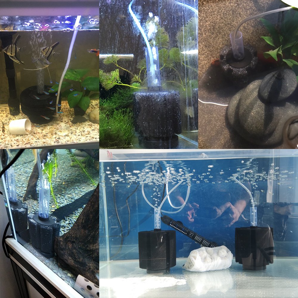 Fish Tank Sponge Filter Aquariums Filter Skimmer Biochemical Filtration Filter Aquatic Pets Fish Supplies