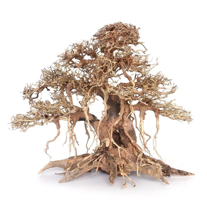 2024 Top Items Bonsai driftwood for decorfish tank aquarium WhatsApp: +84 961005832