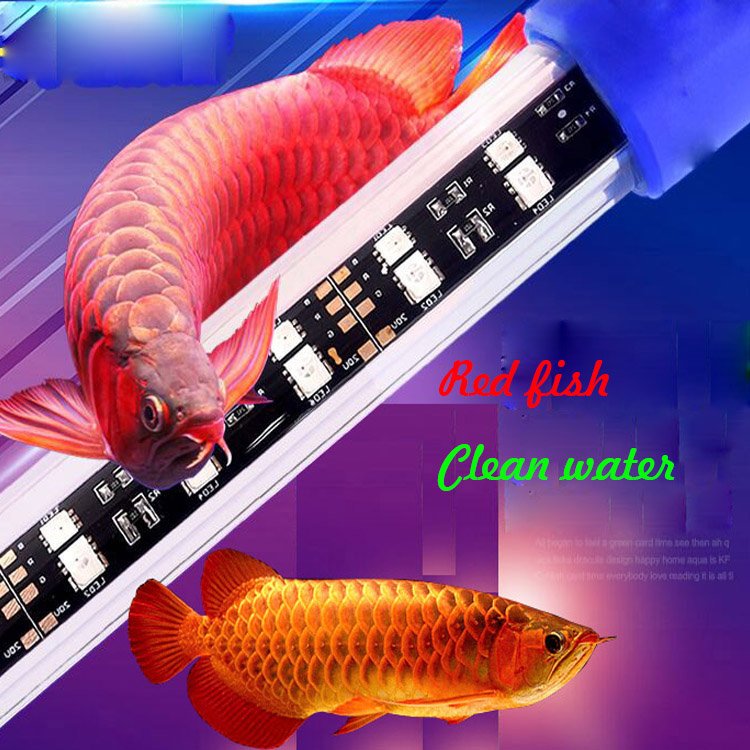 hot sell 240 degree dragon fish lights Waterproof Aquarium Fish Tank Submersible LED Light Red fish light