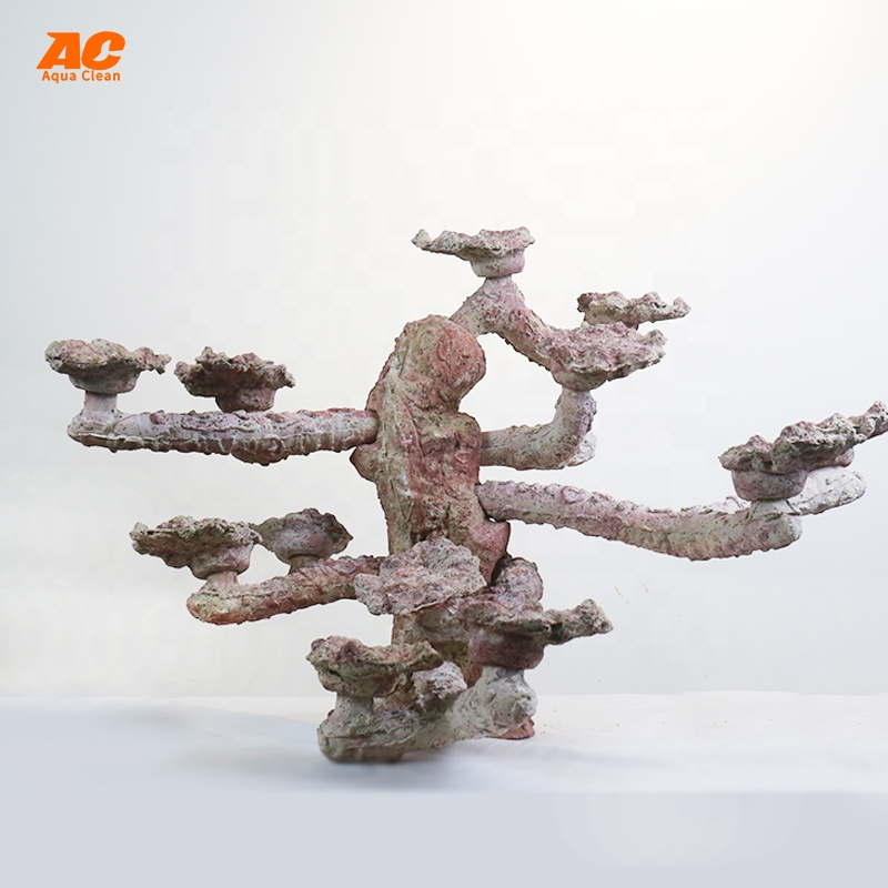 China Factory Supply Natural Aquarium Stones for Aquarium Decoration ZAR2002