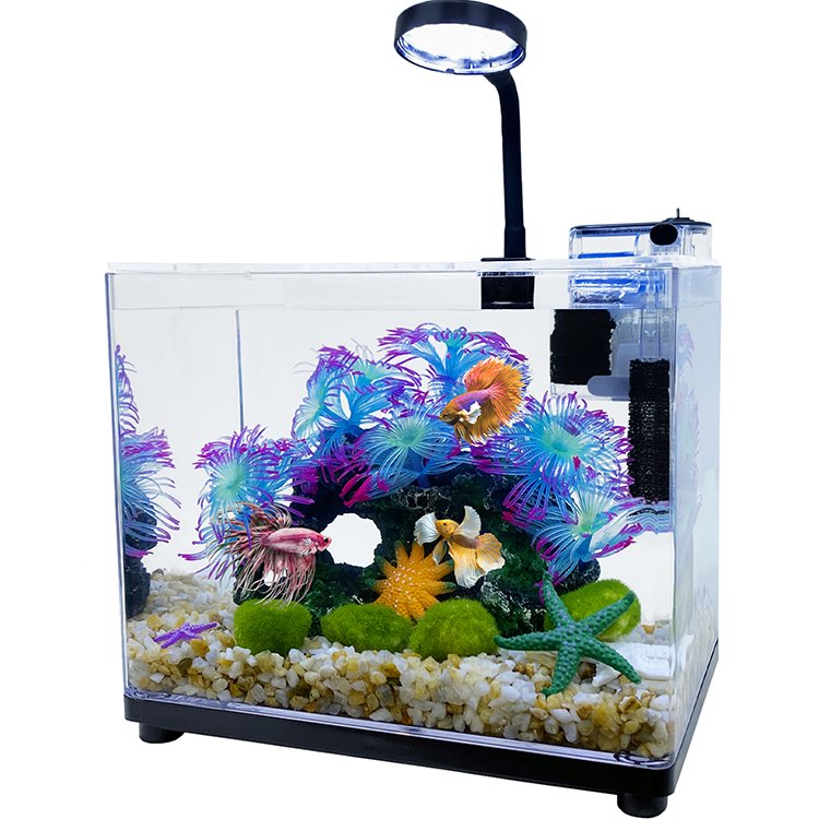 High Quality Fish Tank Low Iron Clear HD Glass Fish Tank Aquariums