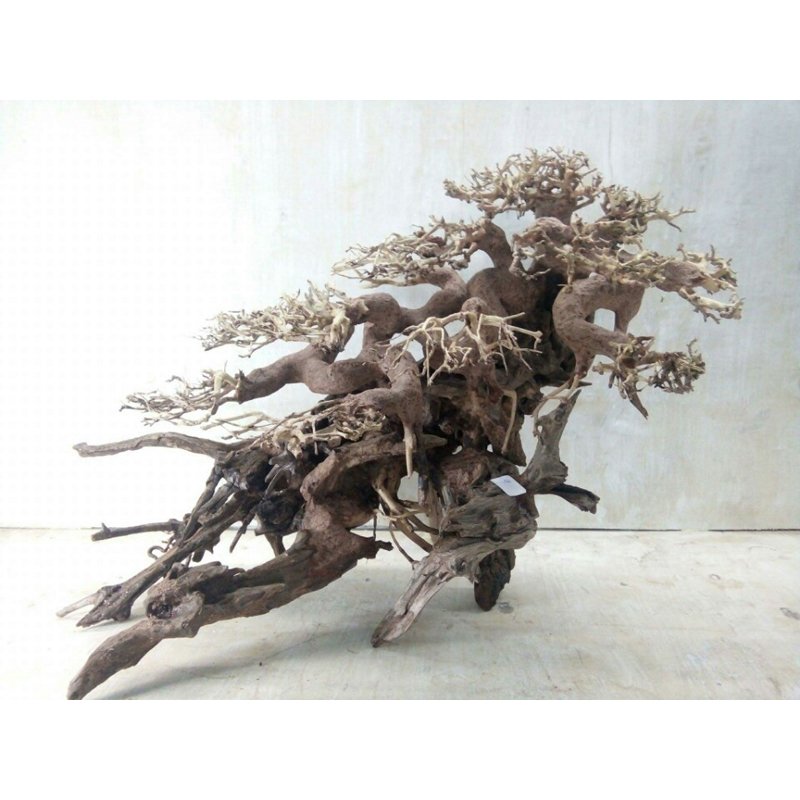 Hot Items 2024 Driftwood Aquarium Bonsai Driftwood for fish tanks wholesale WhatsApp: +84 961005832