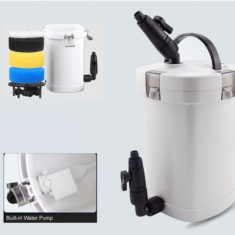 The aquarium has an external filter and 5W built-in live water filter pump