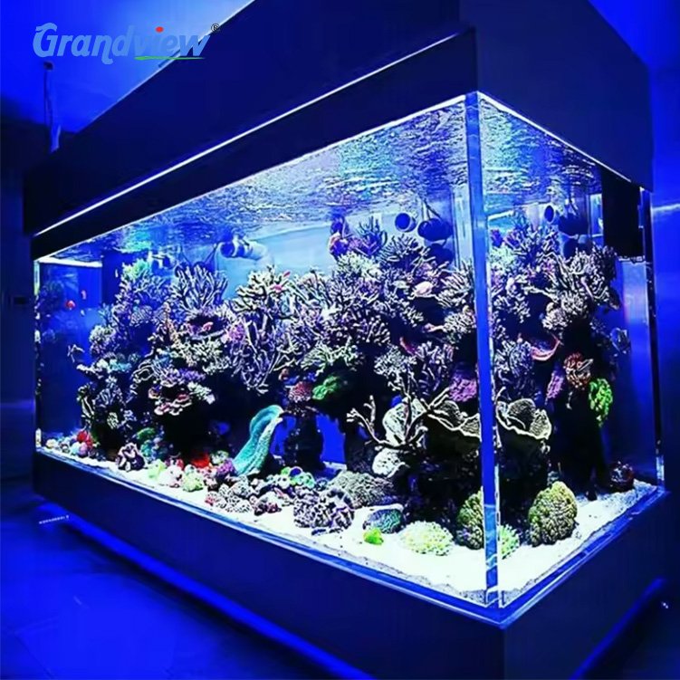 Grandview large acrylic aquarium and aquarium project with acrylic sheet