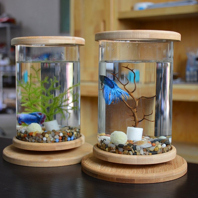 Creative Bamboo Wood Ecological Fish Tank Dual Glass Desktop Mini DIY Goldfish Betta Fish Tank
