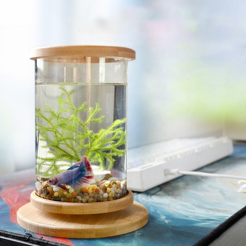 Creative Bamboo Wood Ecological Fish Tank Dual Glass Desktop Mini DIY Goldfish Betta Fish Tank