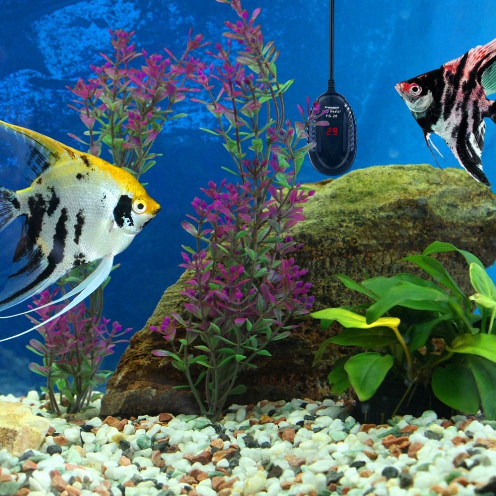Freesea Fw Series 200W Heater Fish Aquarium