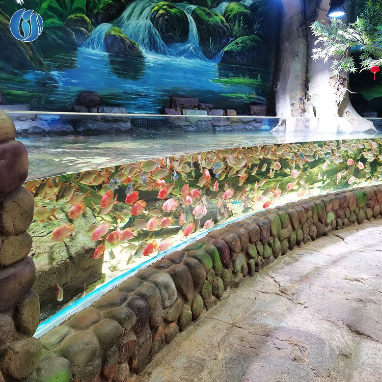 Aquariums Ocean Park Irregular Clear Acrylic Plastic Fish Tank Aquariums Tank Fish Large Acrylic