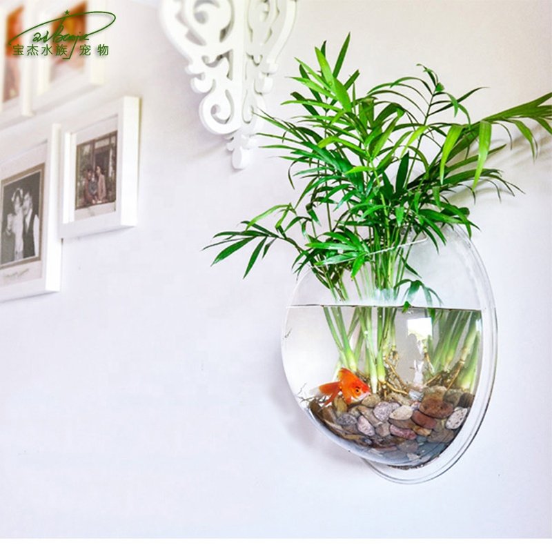 Creative Design Home Decor Transparent Wall Mounted Plant Hanging Vase Acrylic Fish Bowl Fish Tank Aquarium with High Quality