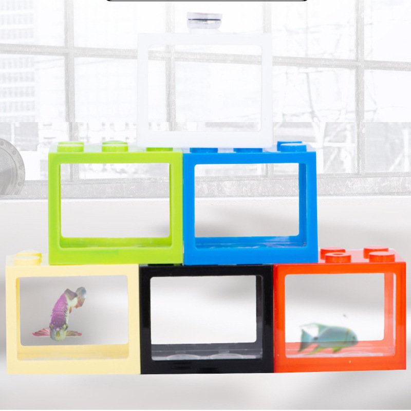 Berserk White Mini Aquarium For Bitta Fish Blue Mini Aquarium Fish Feed Making Machine