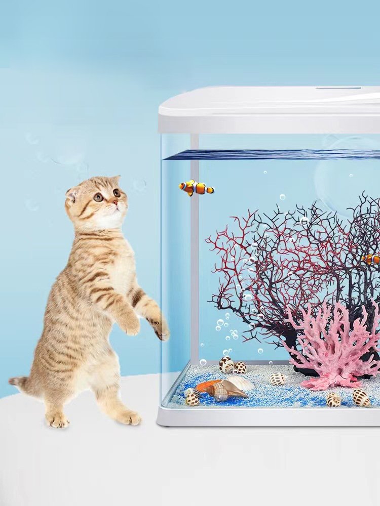Water Cluster products Small glass water cluster box 24CM 30CM 38CM 50CM 60CM 80CM hot bending float glass aquarium