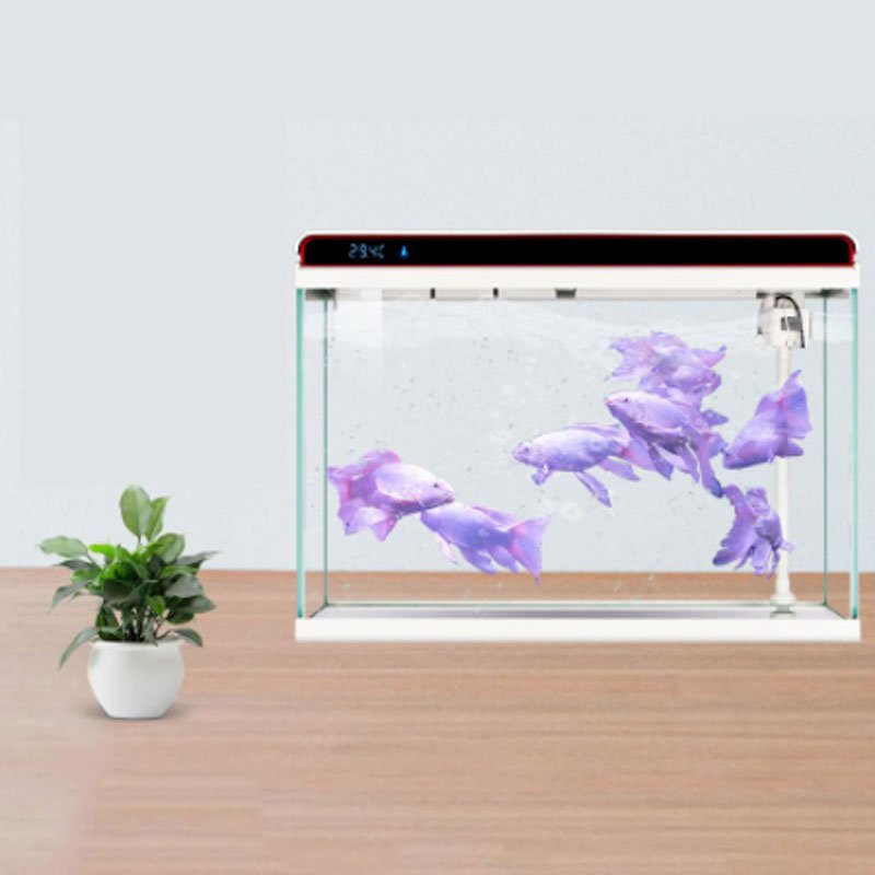 Desktop Household Ecological Water-free Aquaponics Small Fish Breeding Box Peceras Y Acuarios Fish Tanks and Aquariums HE-380 4l