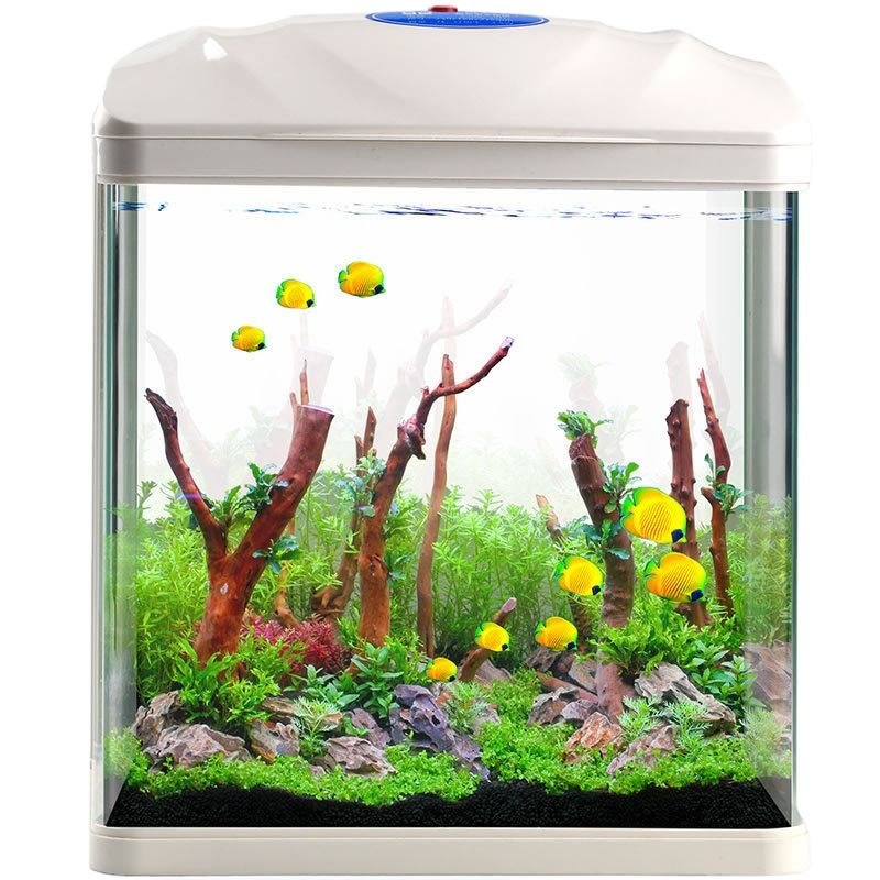 Desktop Household Ecological Water-free Aquaponics Small Fish Breeding Box Peceras Y Acuarios Fish Tanks and Aquariums HE-380 4l