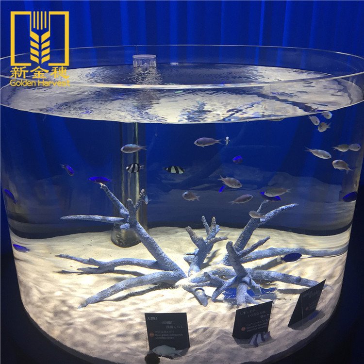 2020 Good price transparent acrylic plexiglass plate sheet aquarium