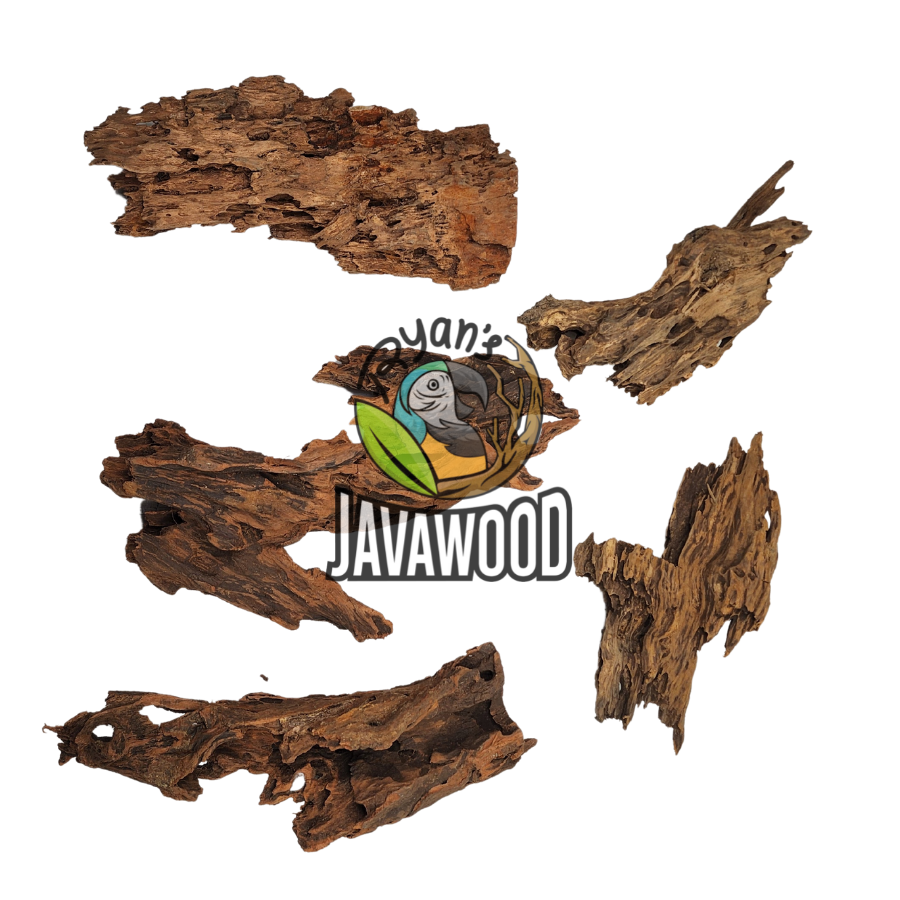 natural decorative accessories driftwood and hardwood altingia excelsa for aquascape original from Indonesia