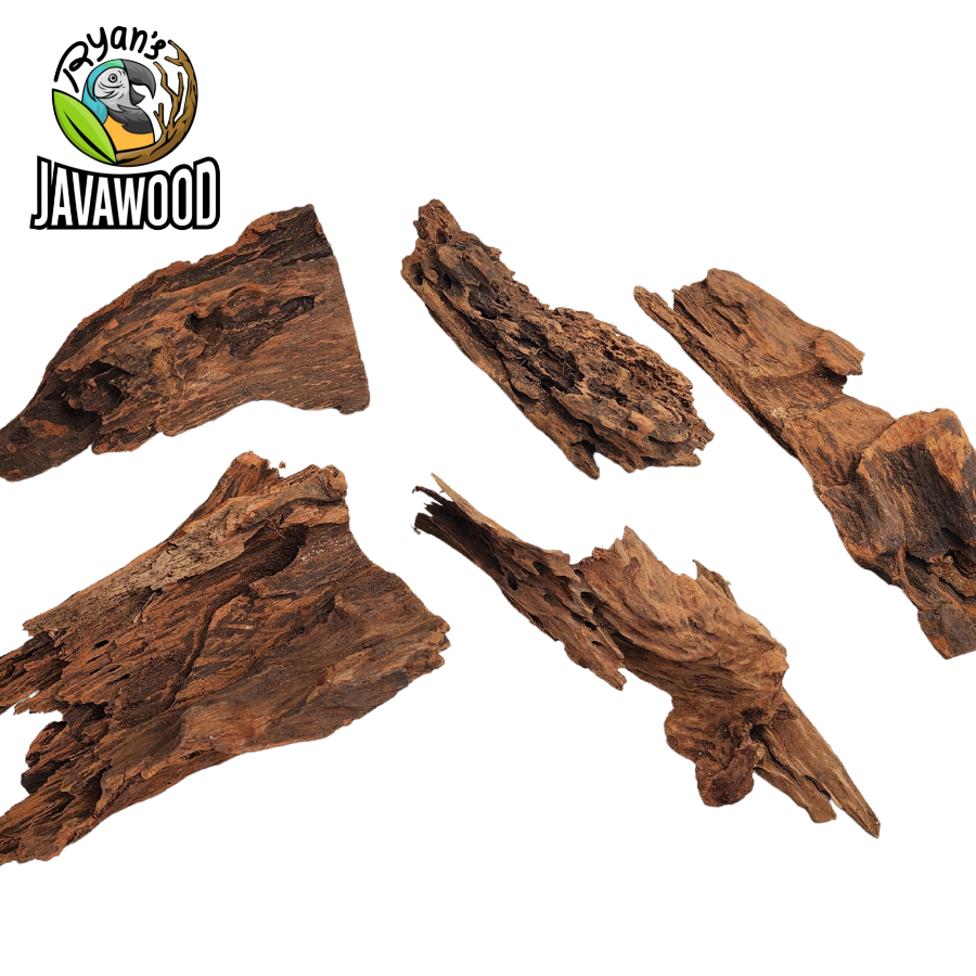 natural decorative accessories driftwood and hardwood altingia excelsa for aquascape original from Indonesia