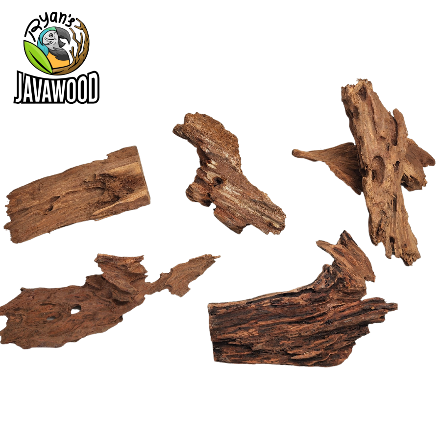 natural decorative accessories driftwood and hardwood altingia excelsa for aquascape original from Indonesia