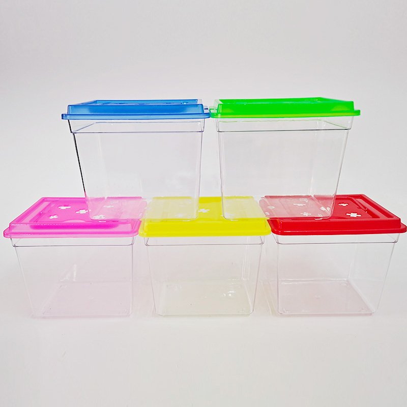 10cm Mini Tank for Small Critters and Creatures Small Insect Cage Plastic Terrarium for Bugs