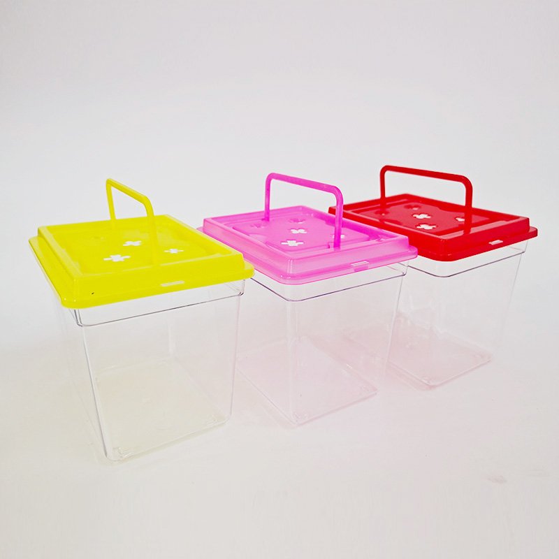 10cm Mini Tank for Small Critters and Creatures Small Insect Cage Plastic Terrarium for Bugs