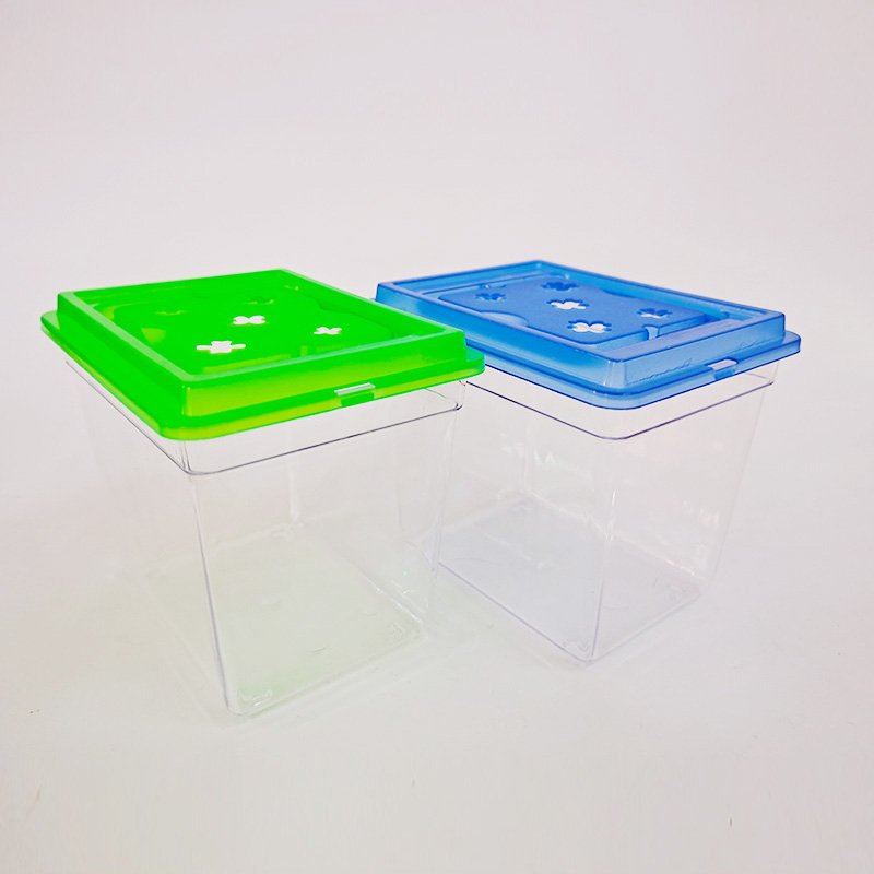 10cm Mini Tank for Small Critters and Creatures Small Insect Cage Plastic Terrarium for Bugs