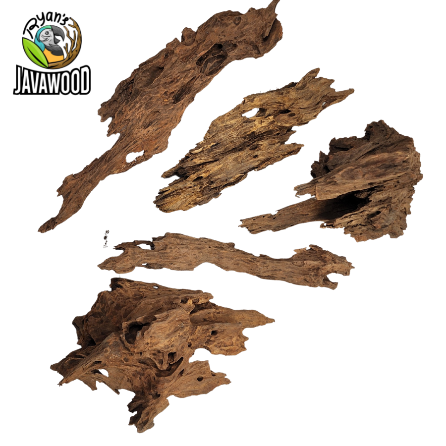 natural wooden decorative accessories driftwood altingia excelsa for aqua scape original from Indonesia