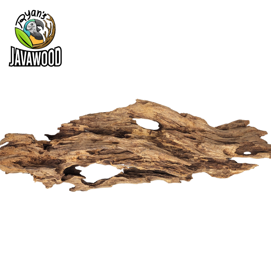 natural wooden decorative accessories driftwood altingia excelsa for aqua scape original from Indonesia