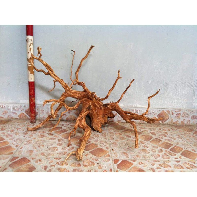 Top Product 2024 Natural Driftwood for Luxury Home Decoration and Aquarium Accessories WhatsApp: +84 963 949 178