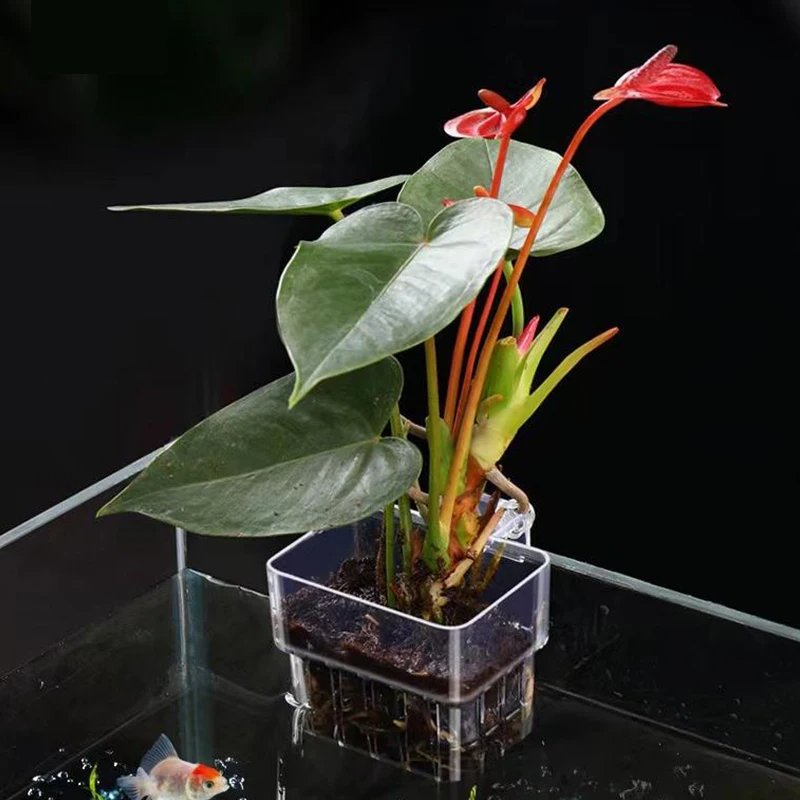 Multifunctional Fish Aquarium Water Grass Planting Cup Breeding Isolation Box Parts Plastic Fish Tank Aquariums & Accessories
