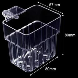 transparent