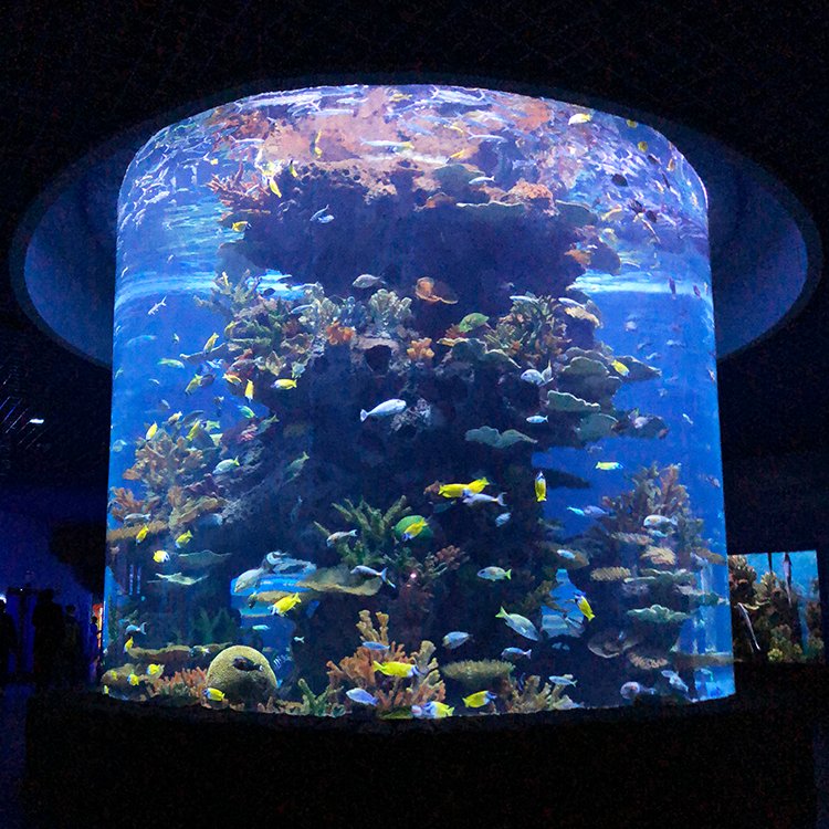 20-500Mm Customized Lucite Big Aquariums, Acrylic Glass Fish Tank Customization%