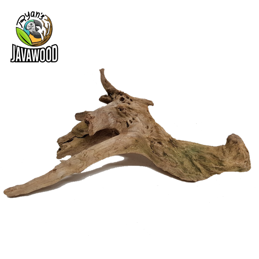 Top High Quality Desain Aquarium Aquascape Driftwood Spider Root For Plant Aquarium Tank from Central Java Indonesia