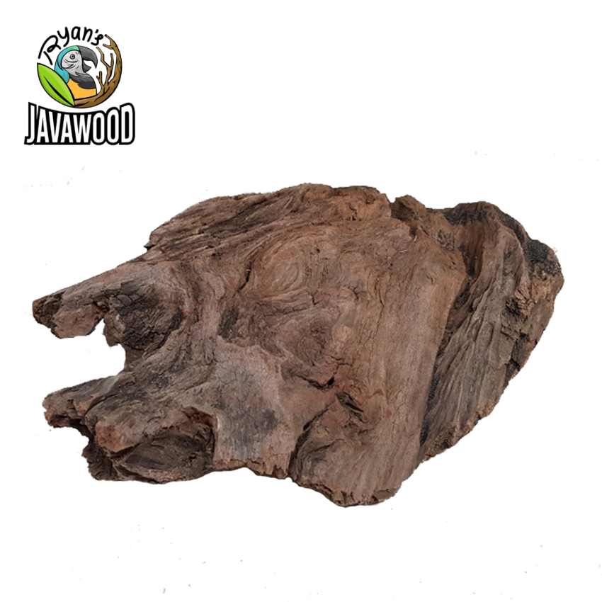Top High Quality Desain Aquarium Aquascape Driftwood Spider Root For Plant Aquarium Tank from Central Java Indonesia