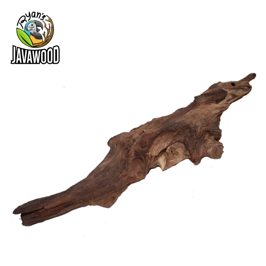 Top High Quality Desain Aquarium Aquascape Driftwood Spider Root For Plant Aquarium Tank from Central Java Indonesia