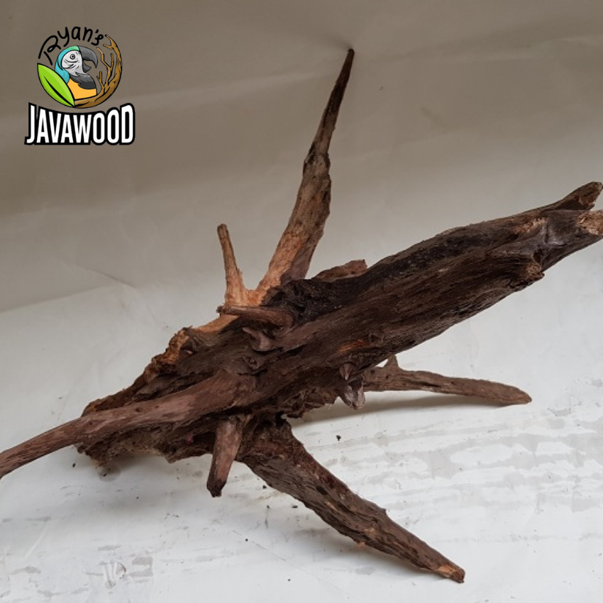 Top High Quality Desain Aquarium Aquascape Driftwood Spider Root For Plant Aquarium Tank from Central Java Indonesia