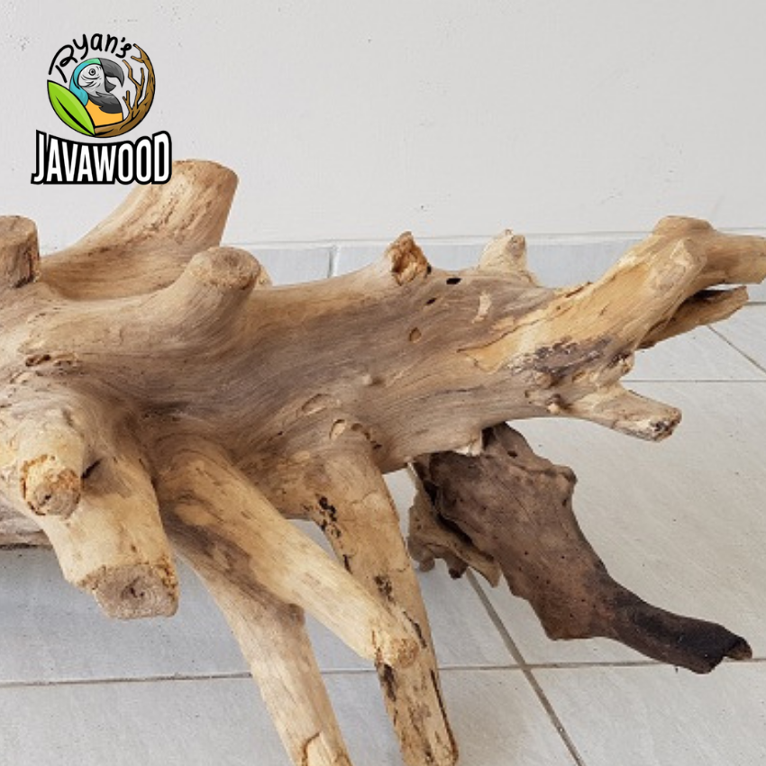 Top High Quality Desain Aquarium Aquascape Driftwood Spider Root For Plant Aquarium Tank from Central Java Indonesia