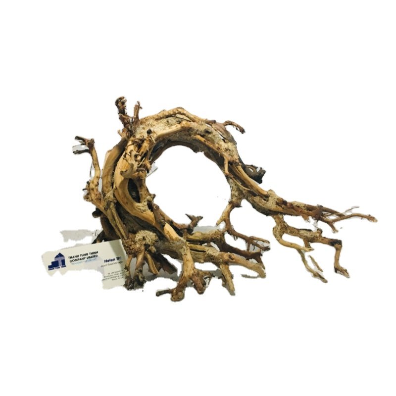 New design 2024 Bonsai driftwood with curly trunk for aquarium fish tank decoration WhatsApp: +84 961005832