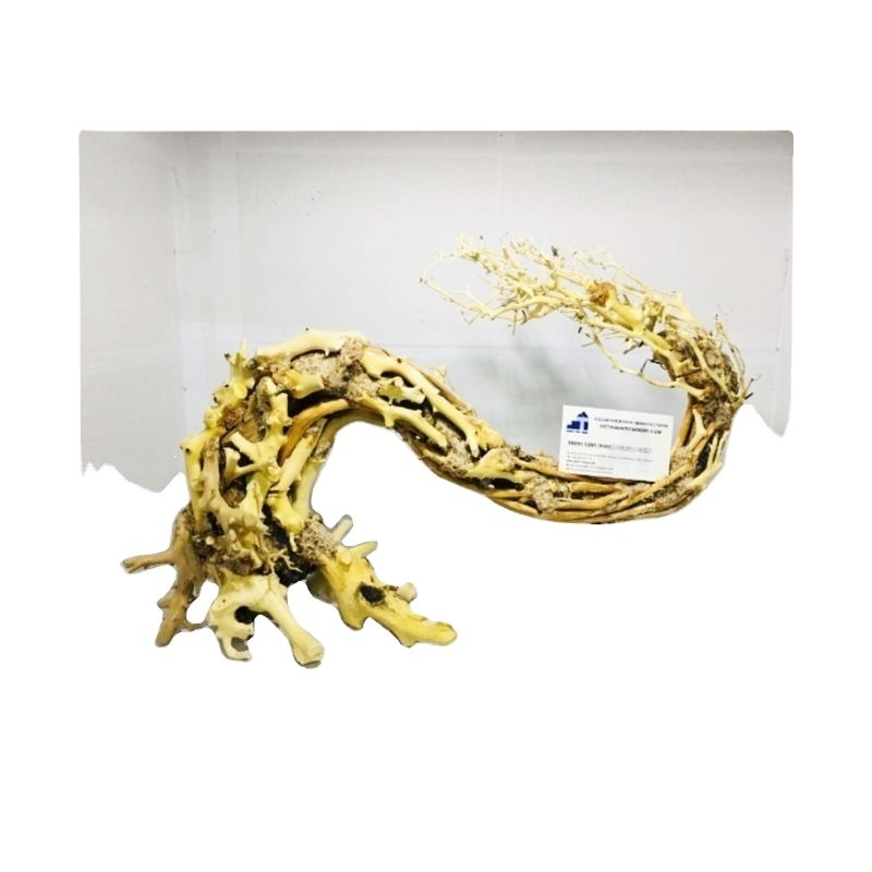 New design 2024 Bonsai driftwood with curly trunk for aquarium fish tank decoration WhatsApp: +84 961005832
