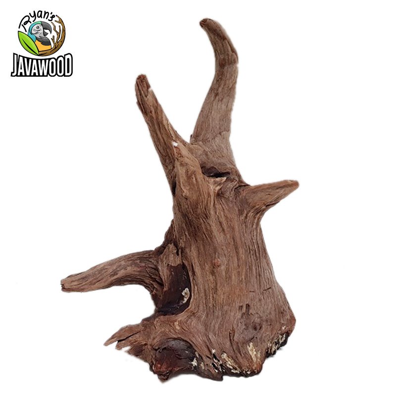 100% New Desain Decorative Aquascaping Wood Vivarium Decoration Natural Aquascape Bonsai Driftwood Aquarium Fish Tank Home Decor