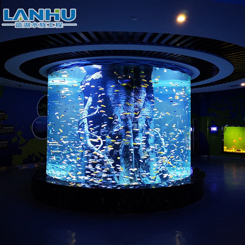 China Supplier Factory Direct Supply 150 mm Custom Size Large Acrylic Cylindrical Fish Tank Aquarium