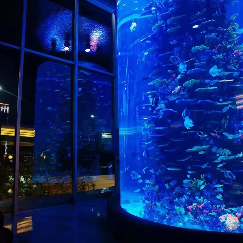 China Supplier Factory Direct Supply 150 mm Custom Size Large Acrylic Cylindrical Fish Tank Aquarium