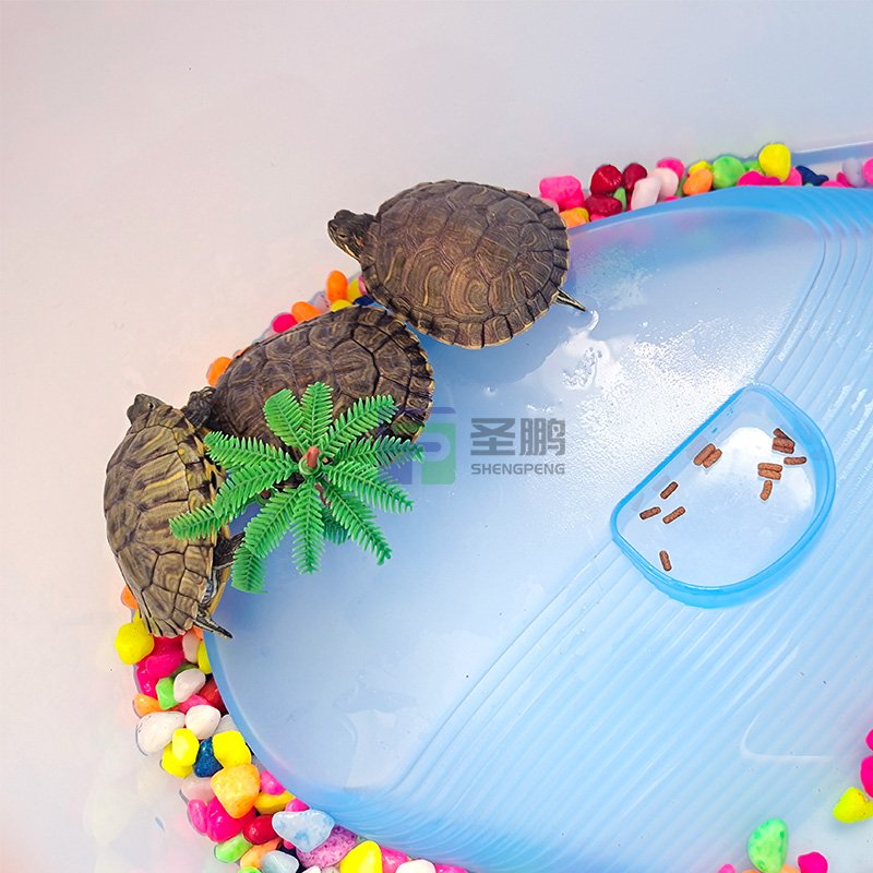 Aquarium turtle tank plastic aquarium fish tank Aquariums & Accessories Turtle Basin