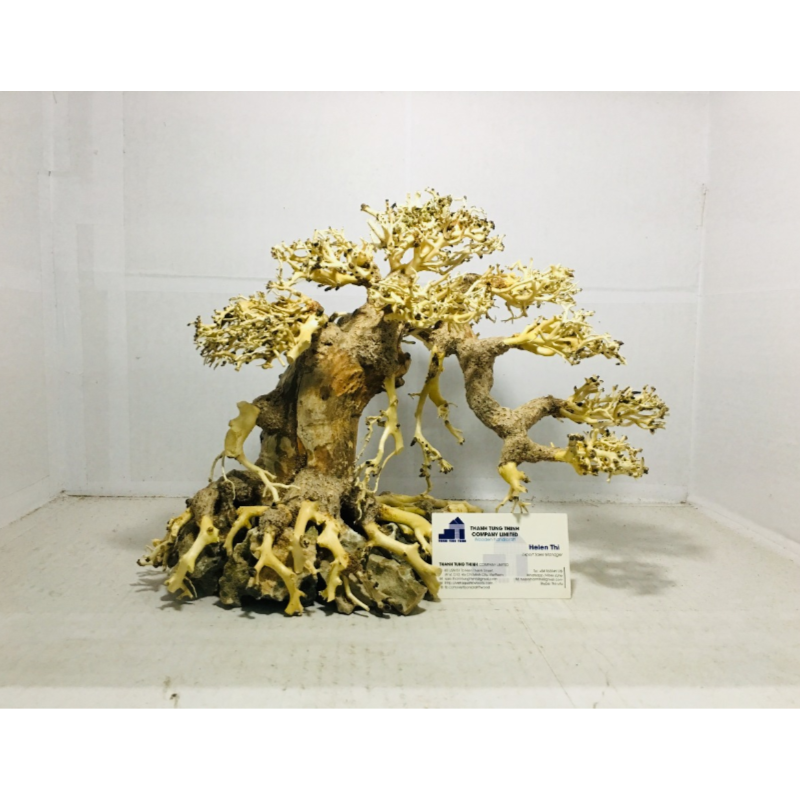 Best selling 2024 Artificial Tree high quality for Aquarium Fish Tank Decoration Wholesales WhatsApp: +84 961005832