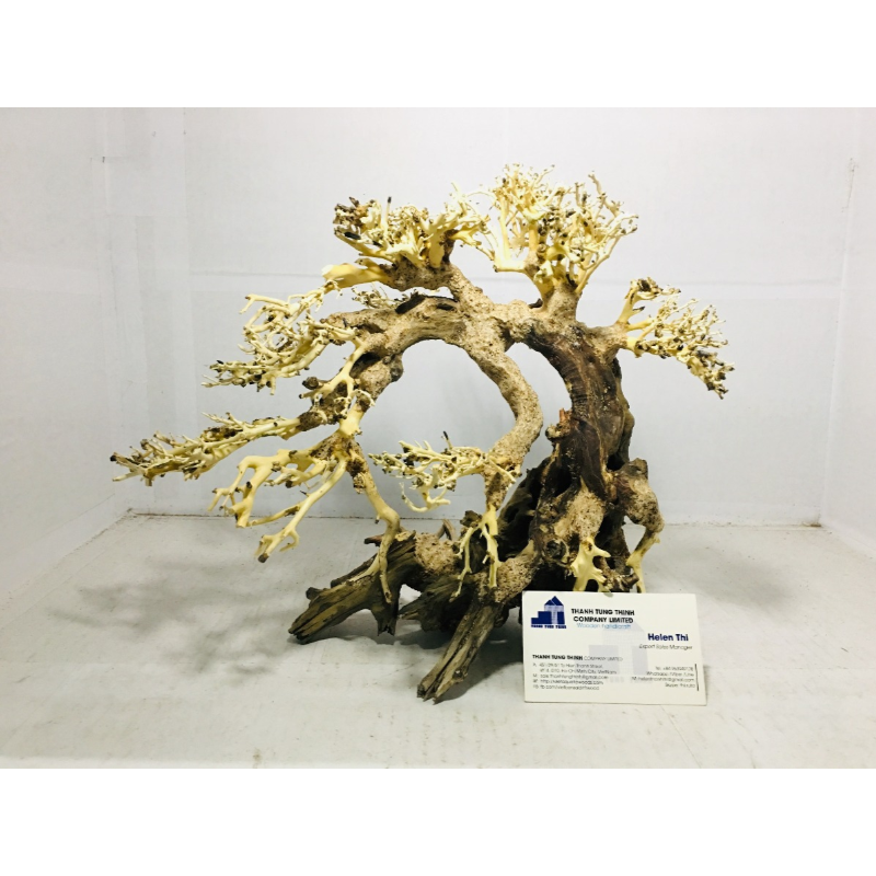 Best selling 2024 Artificial Tree high quality for Aquarium Fish Tank Decoration Wholesales WhatsApp: +84 961005832