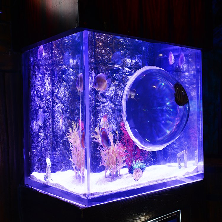 Factory Direct Supply New Style Large Fish Tank, Acrylic Aquarium Fish Tank%