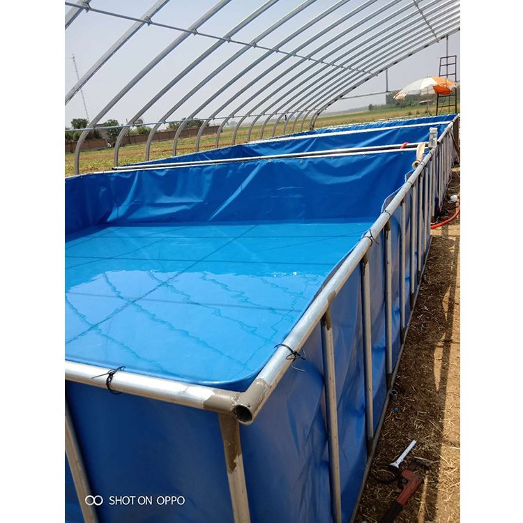 Wholesale personalized mobile plastic pvc tarpaulin stainless steel frame fish aquarium tank of aquaculture
