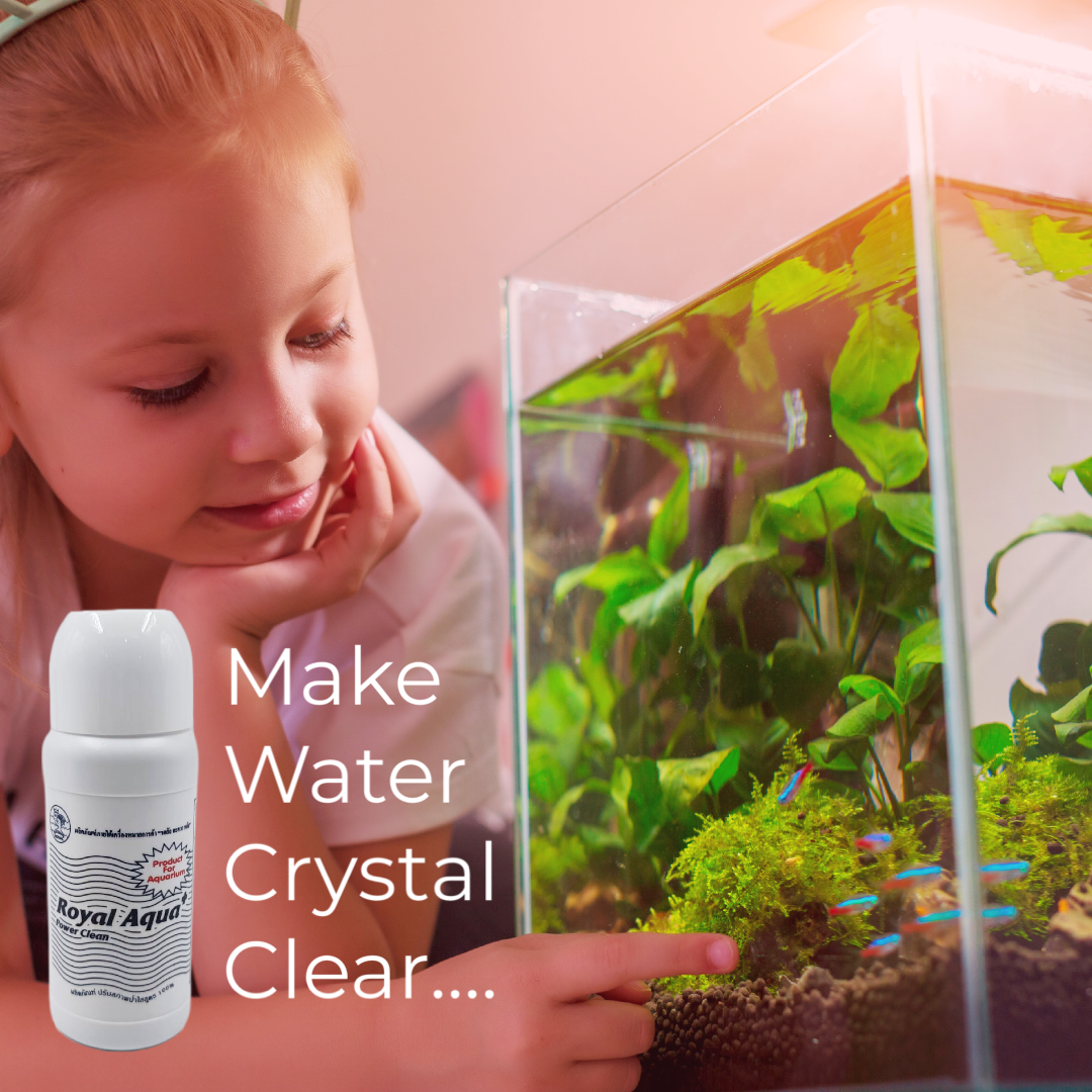 Royal Aqua+ Power Clean Clarifying Formula 100% Plastic Aquarium Cleaning Product 120ml/Dozen Box Packing