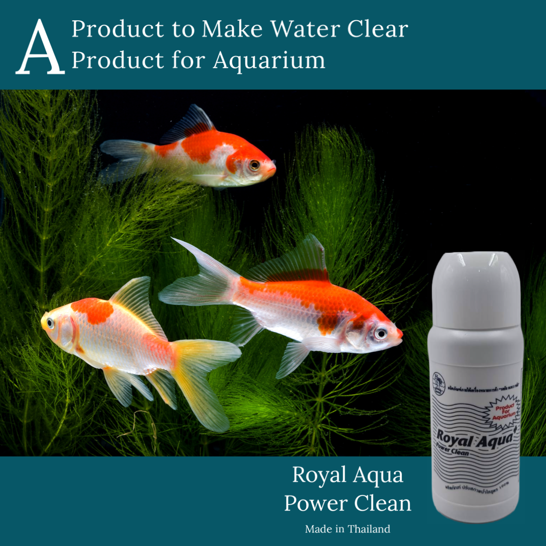 Royal Aqua+ Power Clean Clarifying Formula 100% Plastic Aquarium Cleaning Product 120ml/Dozen Box Packing