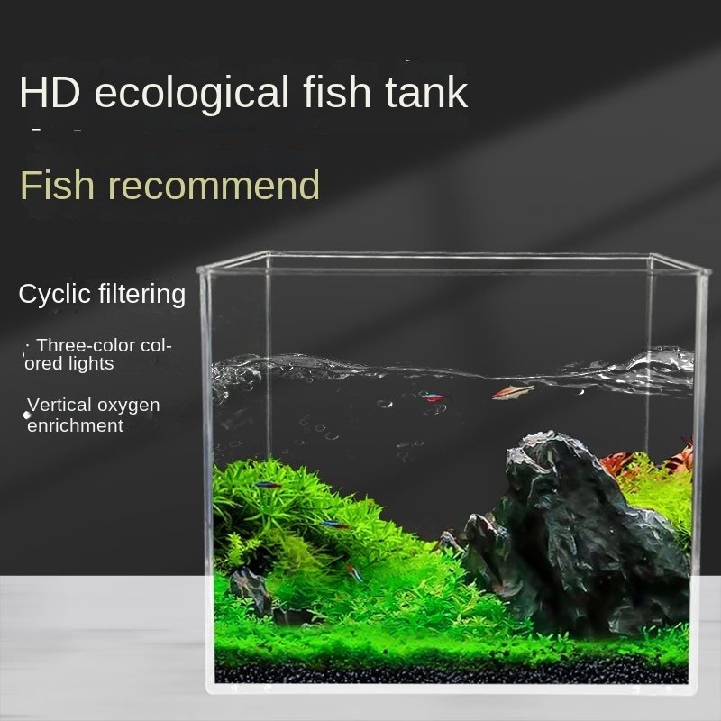 Rushed Plastic Rimless Aquarium Plastic Mini Fish Aquarium China Fish s 300 Gallon Large Aquarium